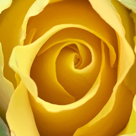 Meet your Posher, Julie - Picture 1 of 1